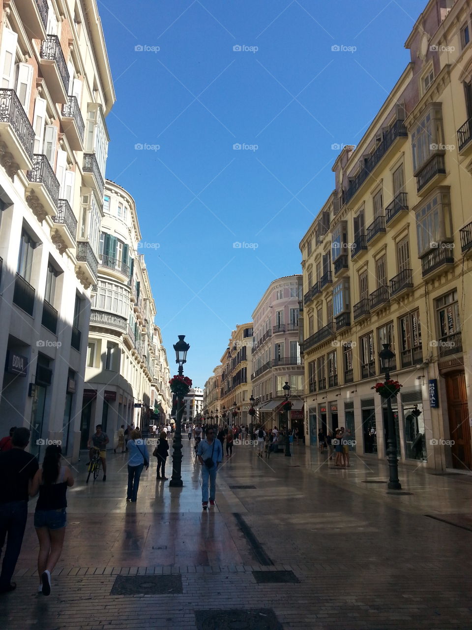 malaga