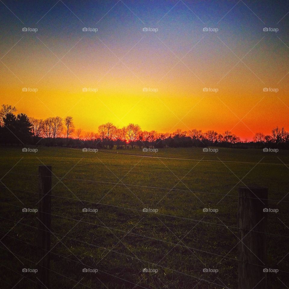 Kentucky sunset in a Farmfield