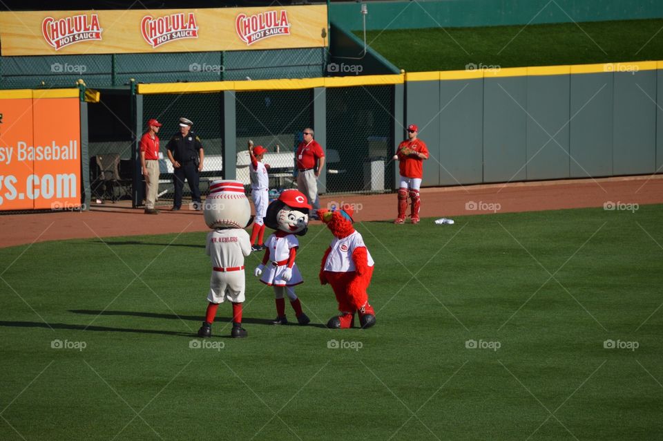 Rosie flirting with Mr. Redlegs & Gapper. ⚾️❤️🌹