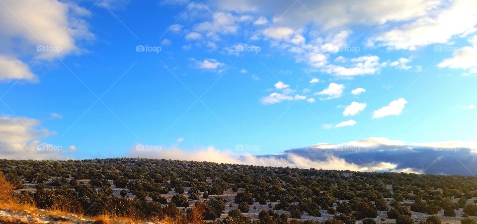 Camp Verde, Arizona. In the winter!