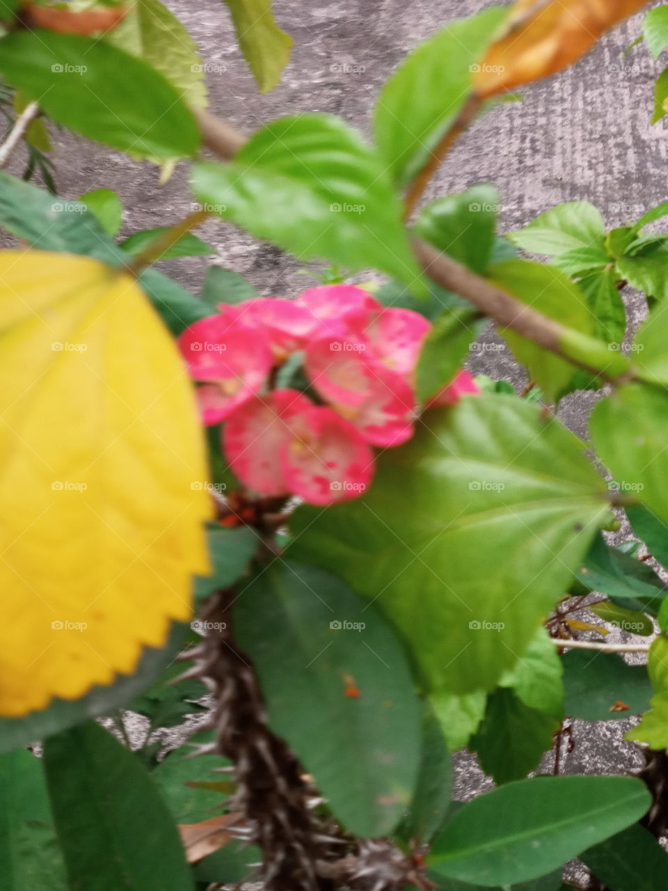 hello... I am here...