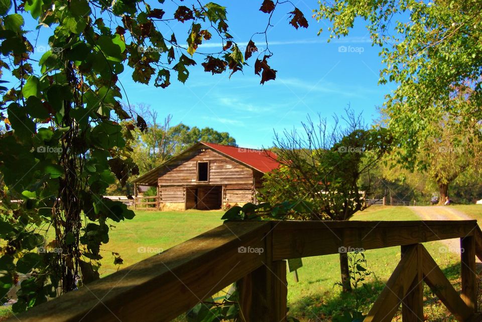 Barn in the Fall