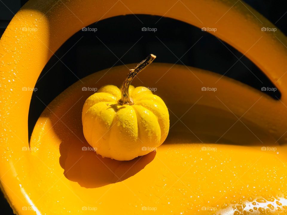 A bright yellow gourd sitting on a bright yellow chair in the bright yellow afternoon sun. Everything is covered with shiny reflective water droplets. It’s a beautiful sunny yellow day!