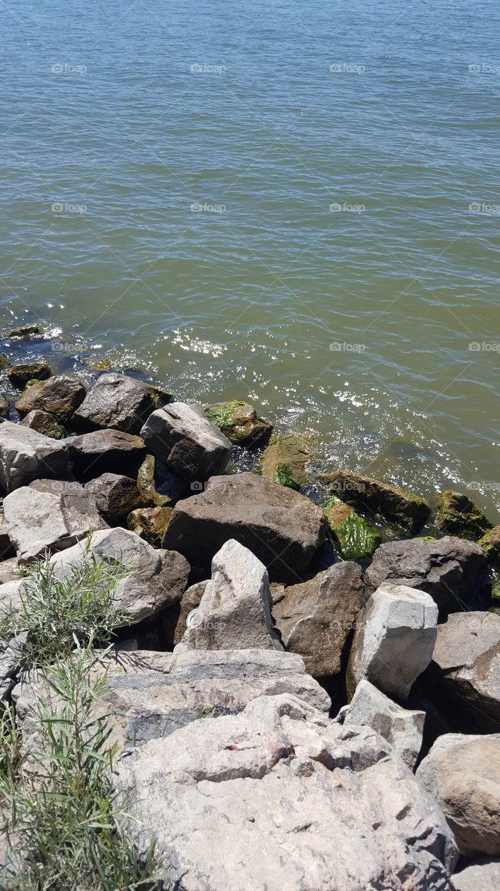 Watery Rocks