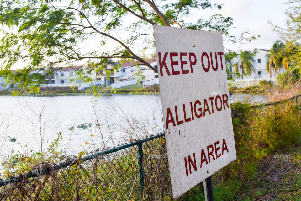 Keep Out Alligator Sign. A sign saying "keep out alligator in area", Next to a lake. Be aware of Dangerous animal.