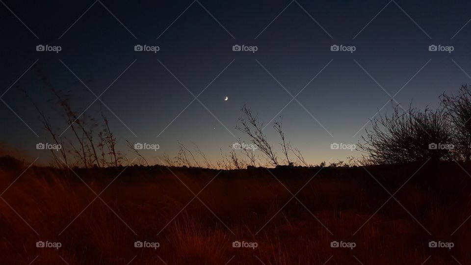 Sunset moon and silhouette skyline