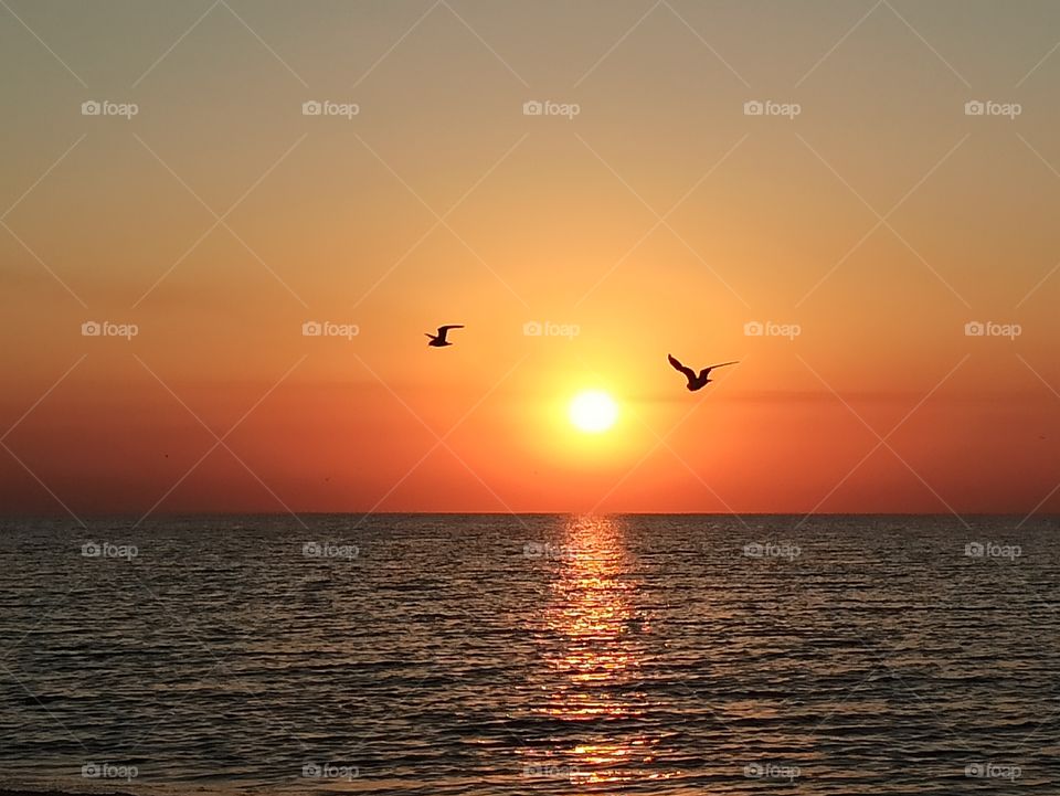 Sunrise at the sea. Sun.