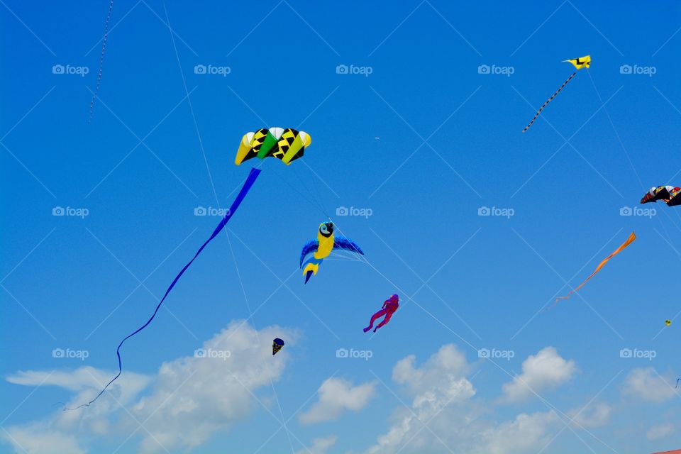 Kites in sky on beach in Galveston Texas