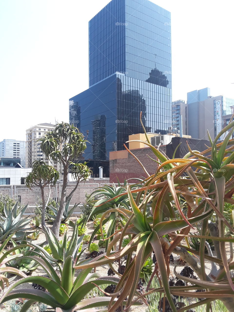 Salesforce Park San Francisco California