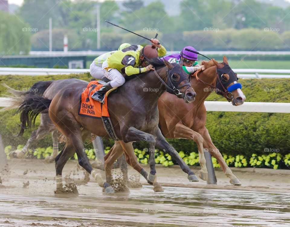 Great Horse Racing Photos by Fleetphoto