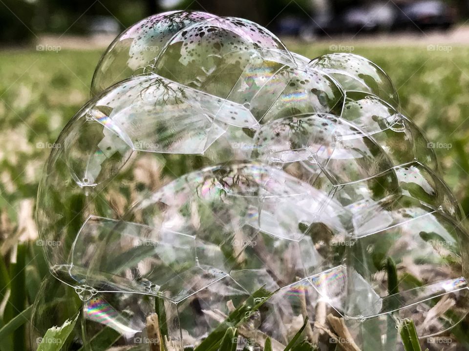 Bubble on grassy land