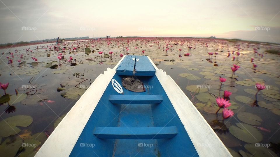 Wooden Boat in Lotus Lake