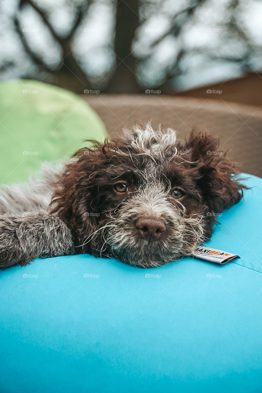 I promise to never leave your side 