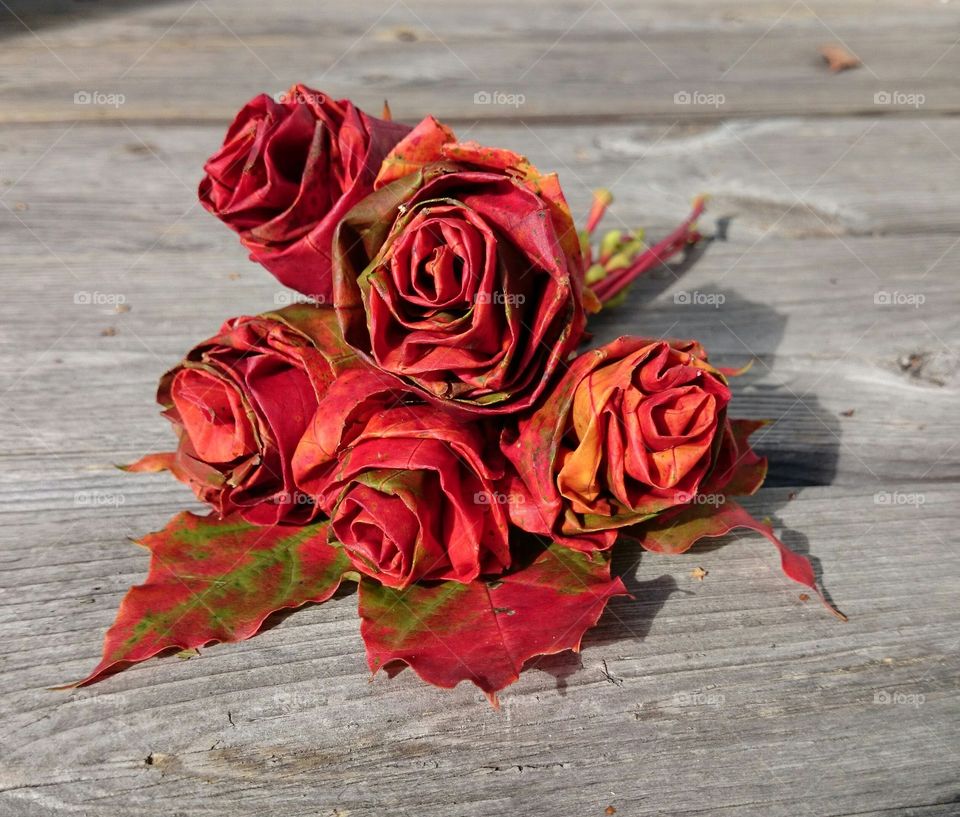Roses made of maple leafs
