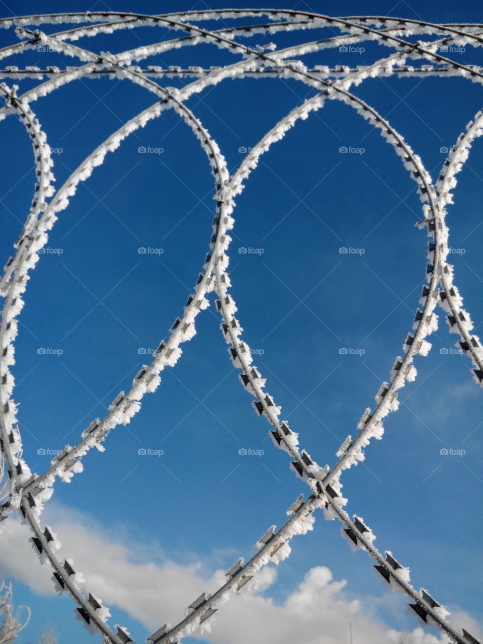 Winter fence and sky