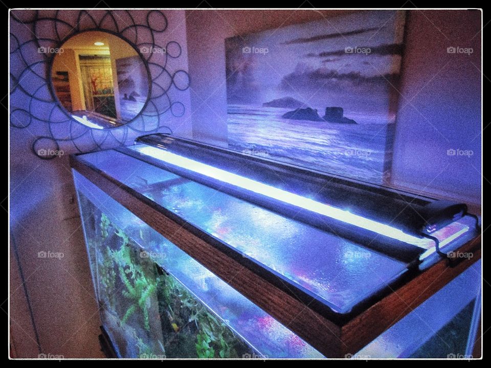 aquarium
