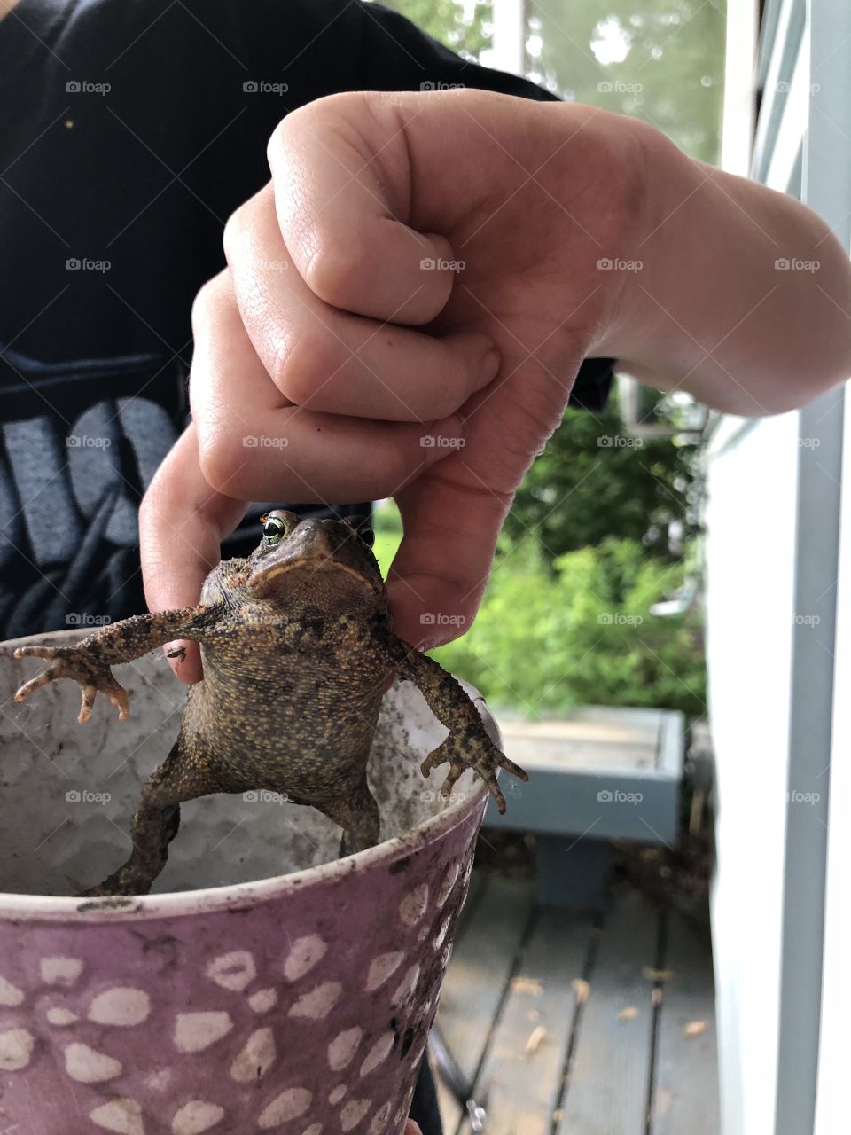 Summer Frog Catching