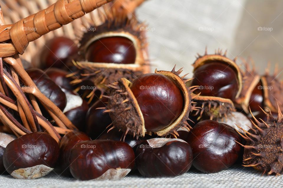 chestnuts beautiful texture close up background