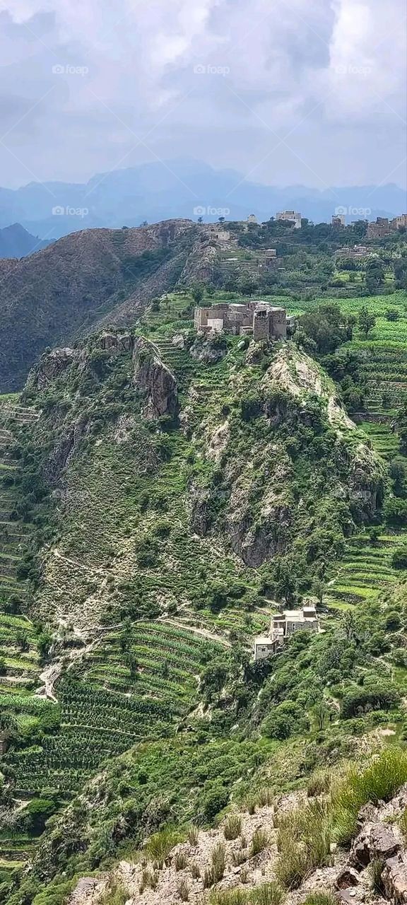 A very beautiful picture, and there is no better picture than it. There is no better picture of green herbs and colorful, red and white roses than it. Glory be to God, the natural and picturesque view, and there is no more