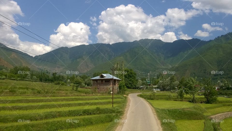 Landscape, Mountain, Travel, Nature, Tree