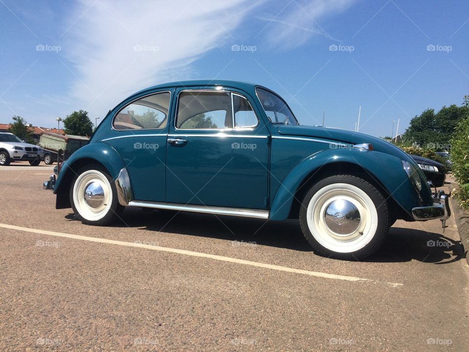 Old bug
