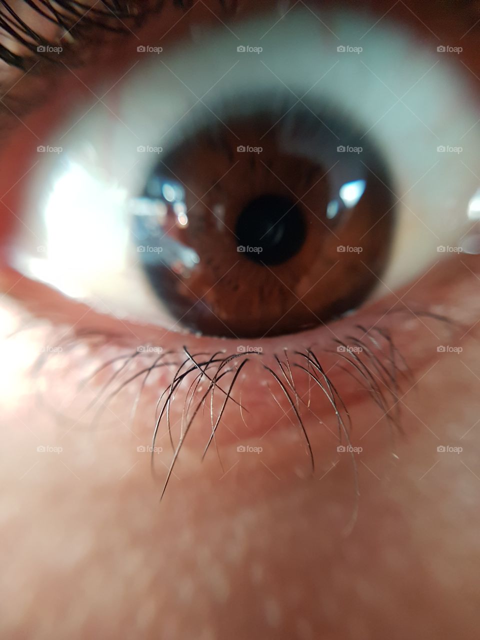 EYE CAN SEE YOU. Macro Photo of my long eyelashes