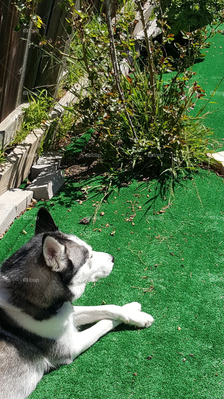 Enjoying Spring Weather