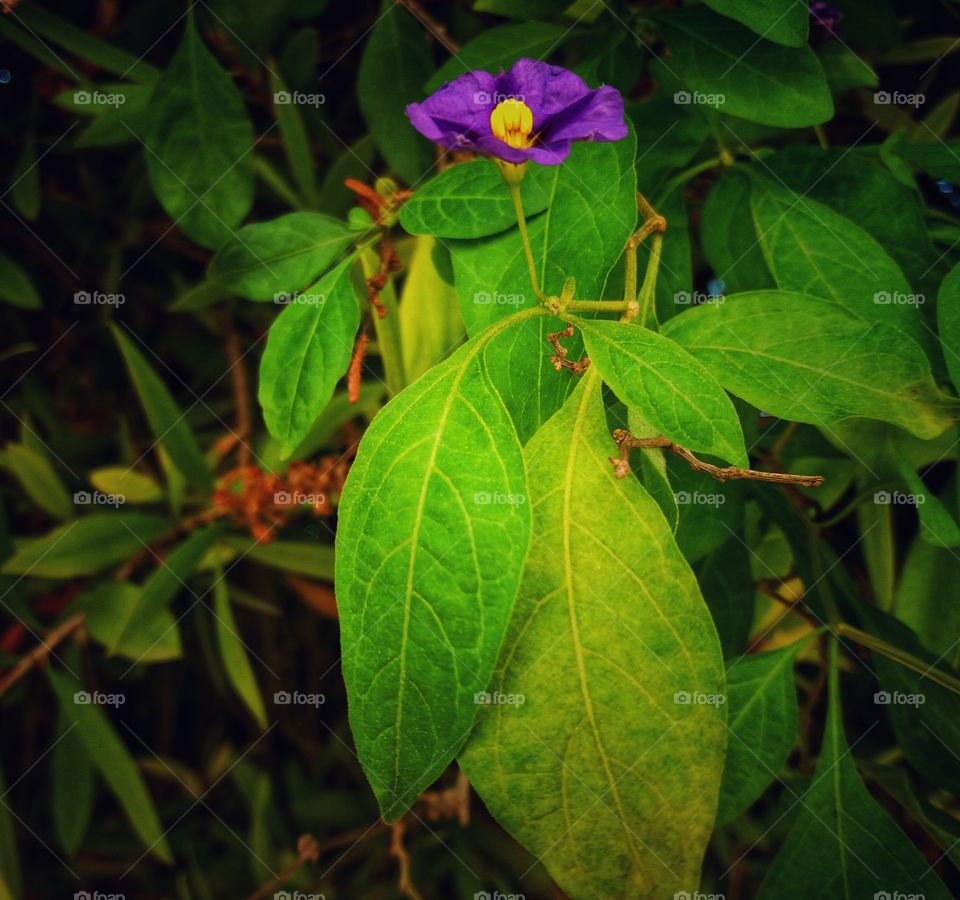 When lights are playing!