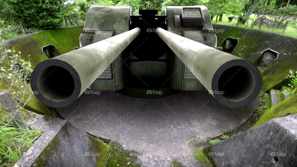 Carro armato nella foresta, Giappone