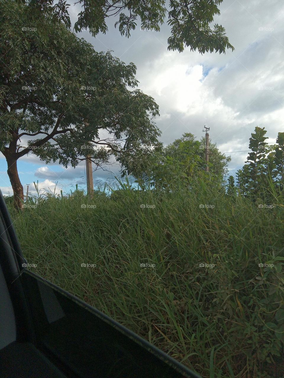 A Natureza e seus encantos