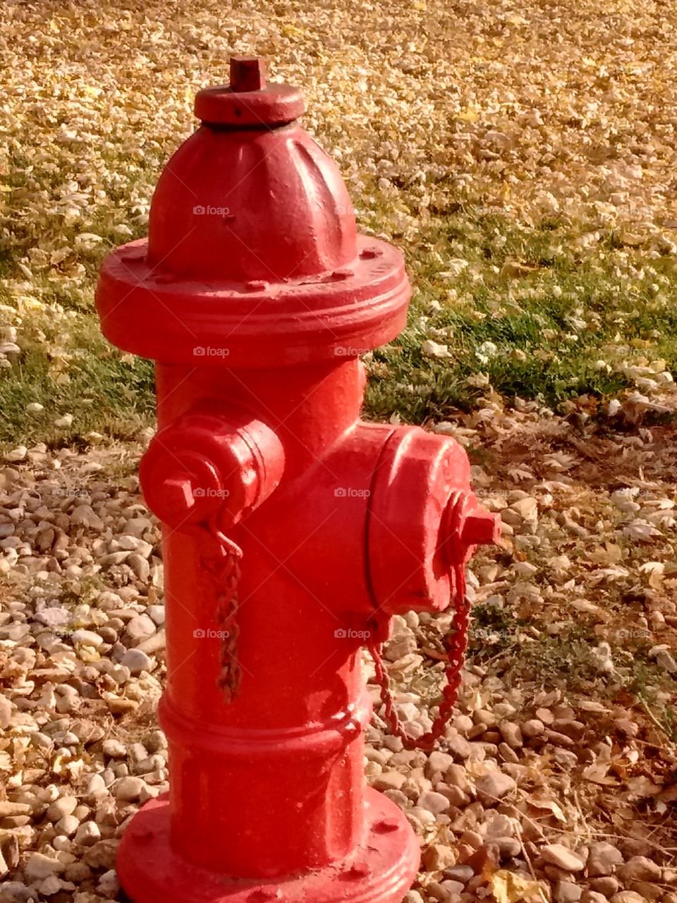 red fire hydrant