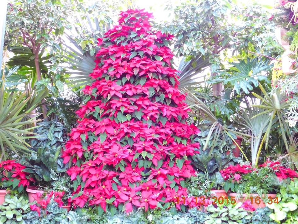 Christmas Flower tree
