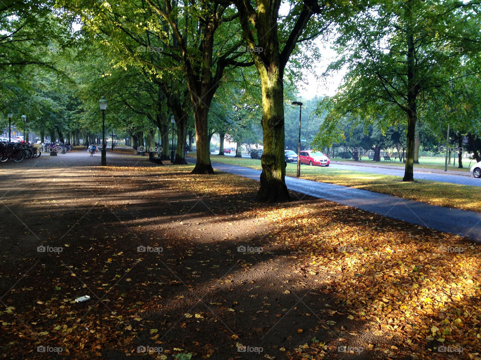 malmö sweden autumn höst by cabday