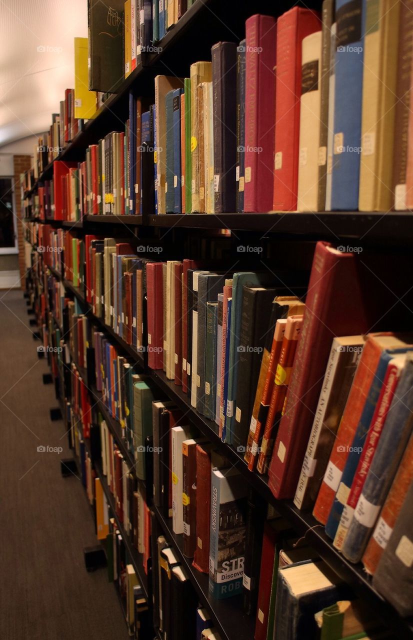 books library bookshelf study by Petalskull