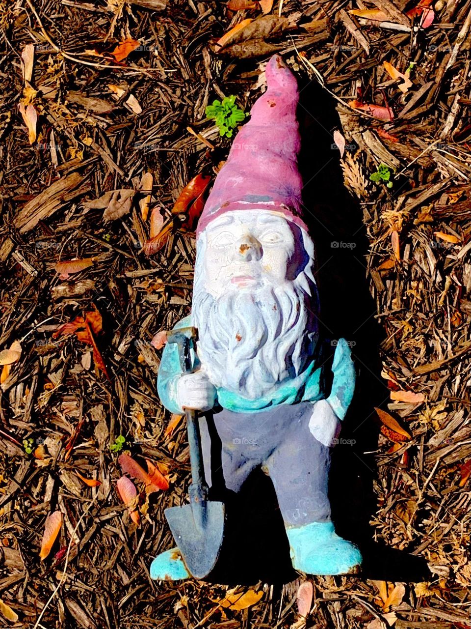 Fallen gnome 