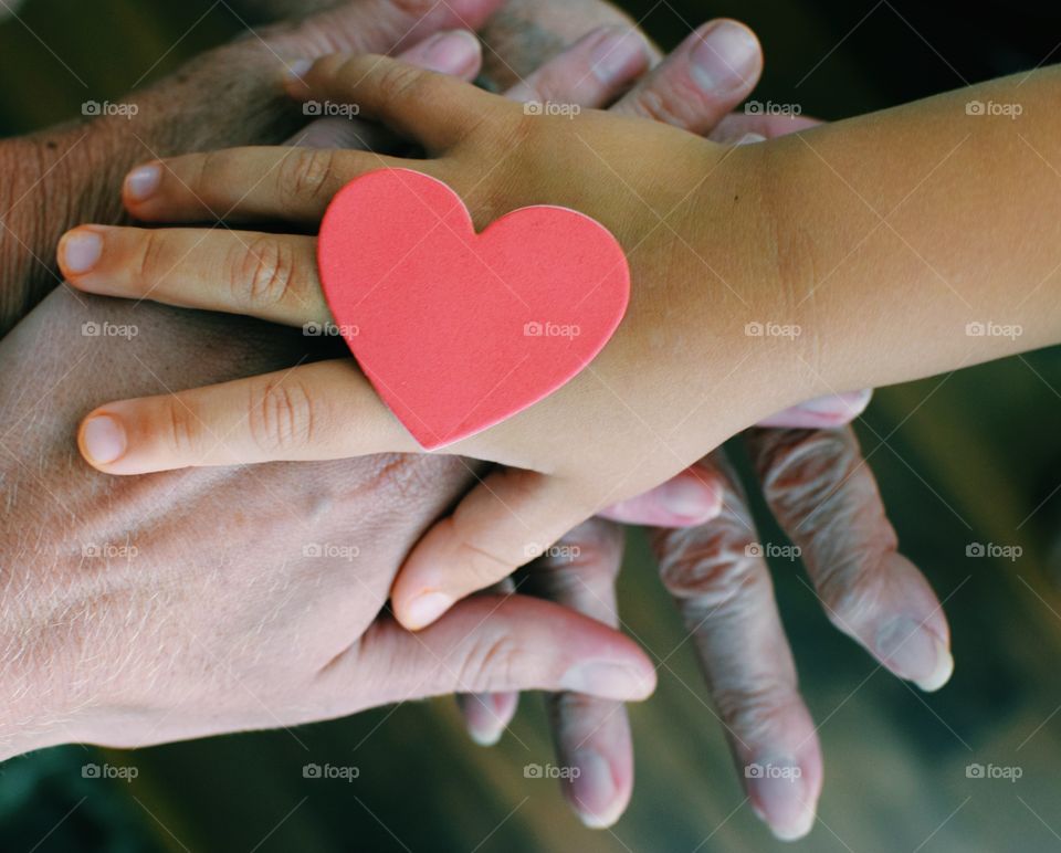 Love, Hand, Heart, Woman, Palm (Hand)