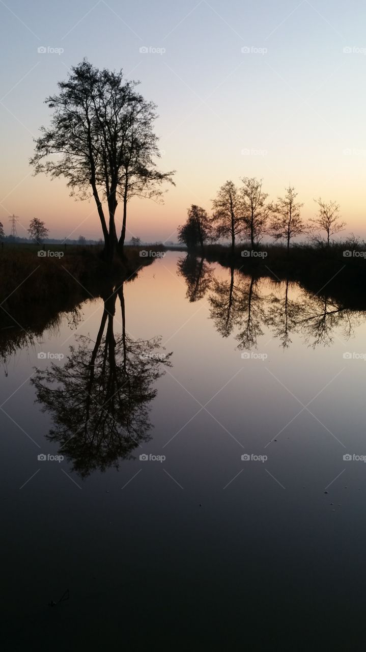Trees reflecting on the lake