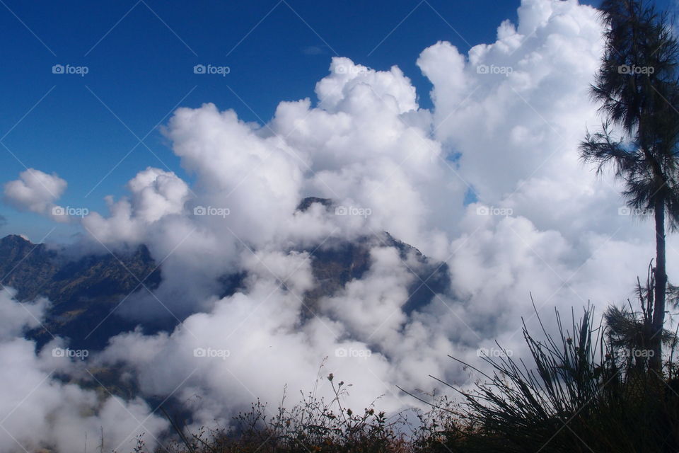 clouds on the mountain