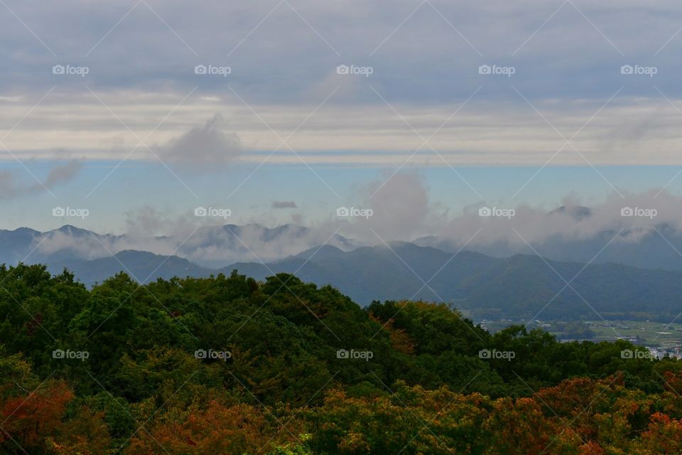 Clouds over the woods