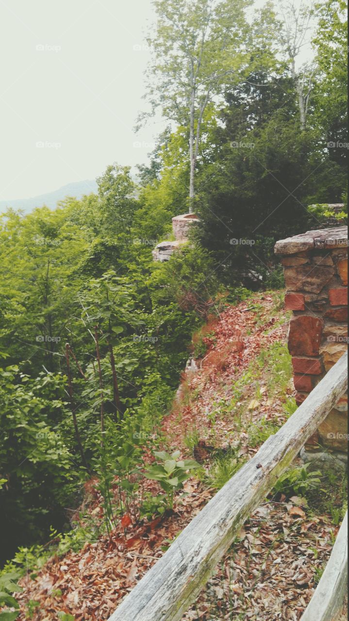 Nature trail overlook