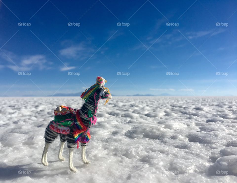 Salt Flats, Bolivia