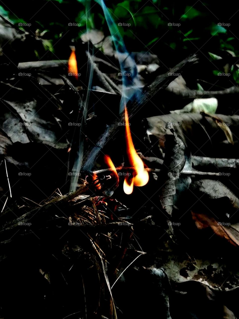 Fire & Fire