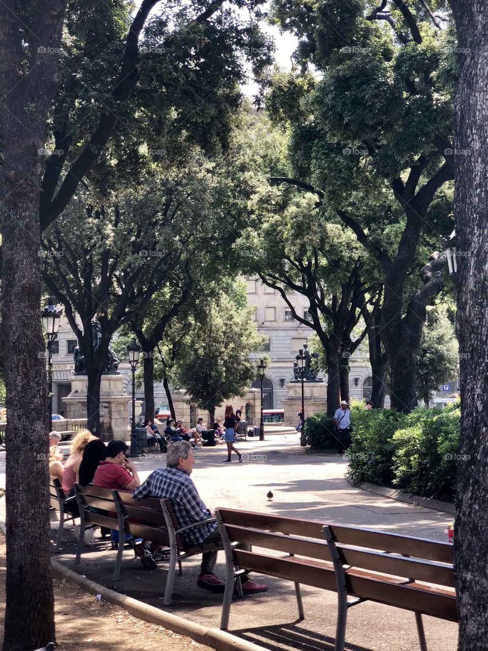 Tree, Park, Outdoors, Bench, People