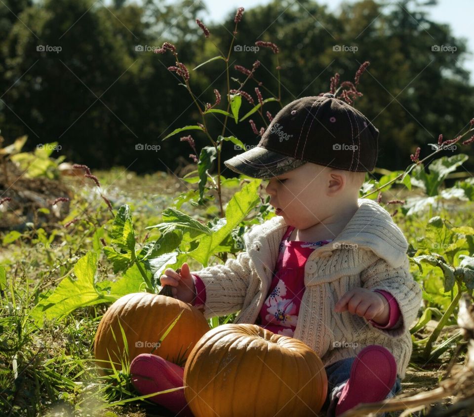 pumpkin patch