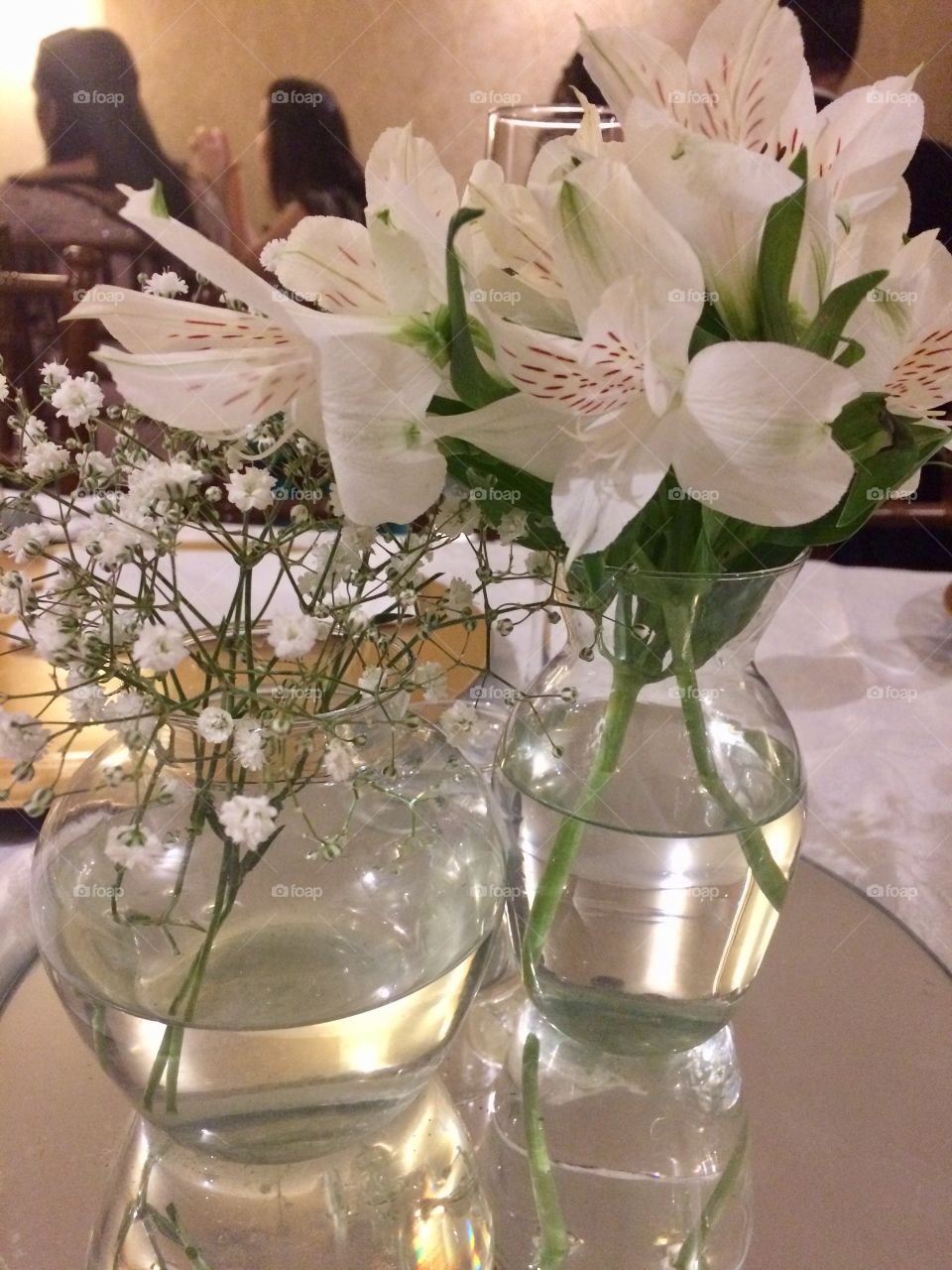 Vasos de Flores Transparentes 