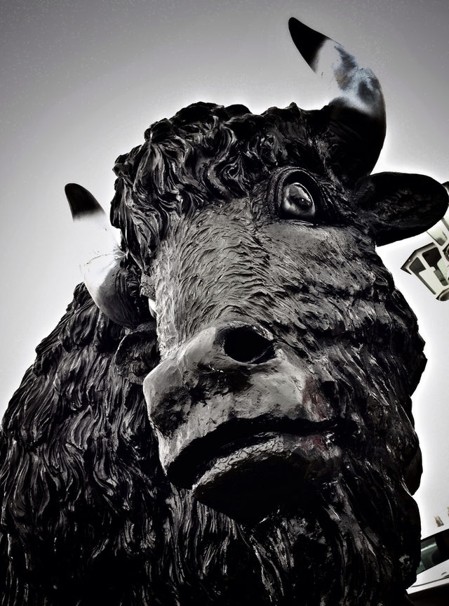 Buffalo statue