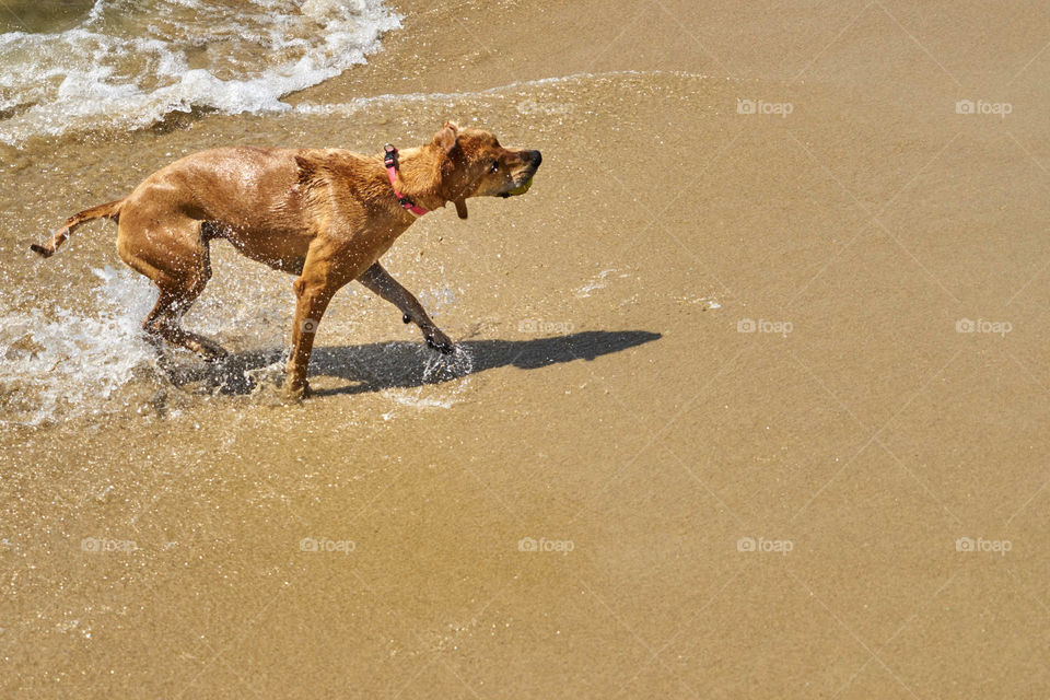 At the beach