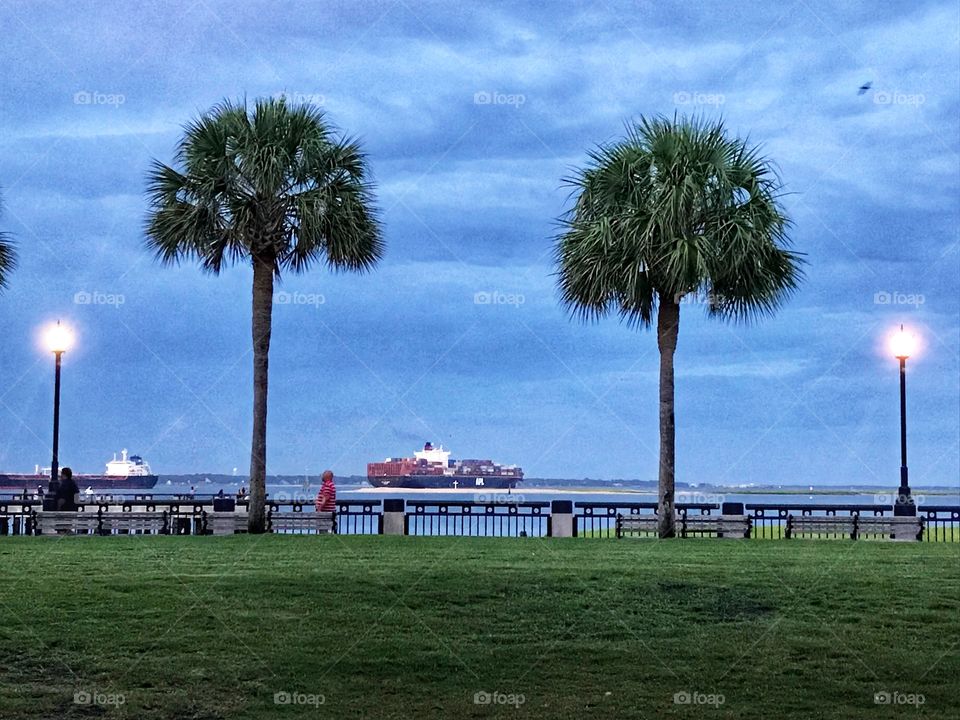 Container ship framed between palm trees in the harbor. 