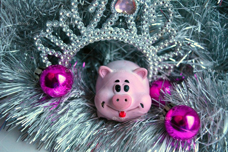 new year pig decor