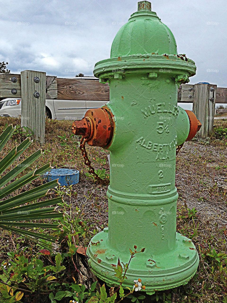Green fire hydrant